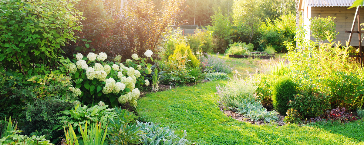 Moins de dur, plus de verdure :  l’heure du végétal a sonné !