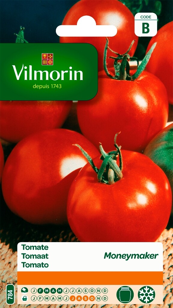 Tomate Moneymaker Tomate Moneymaker