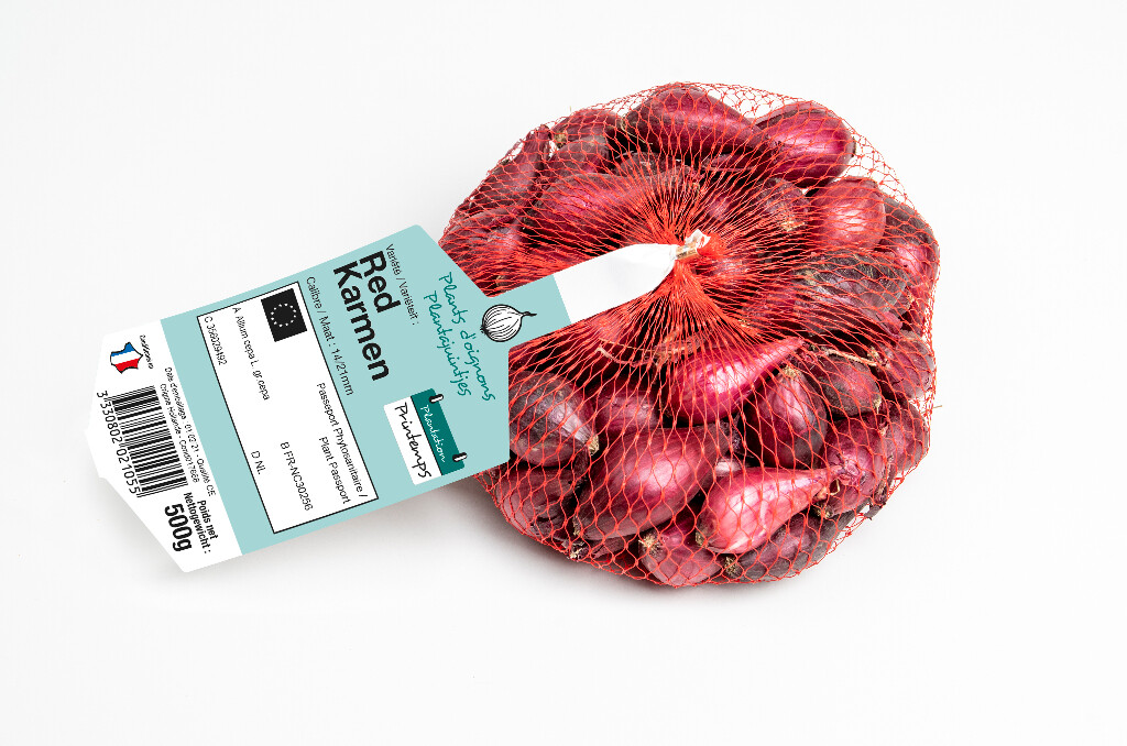 Oignon Red Karmen 14/21 500g Oignon Red Karmen 14/21 500g