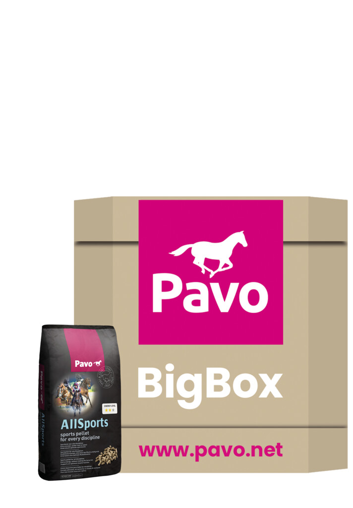 AllSports Big Box 725kg