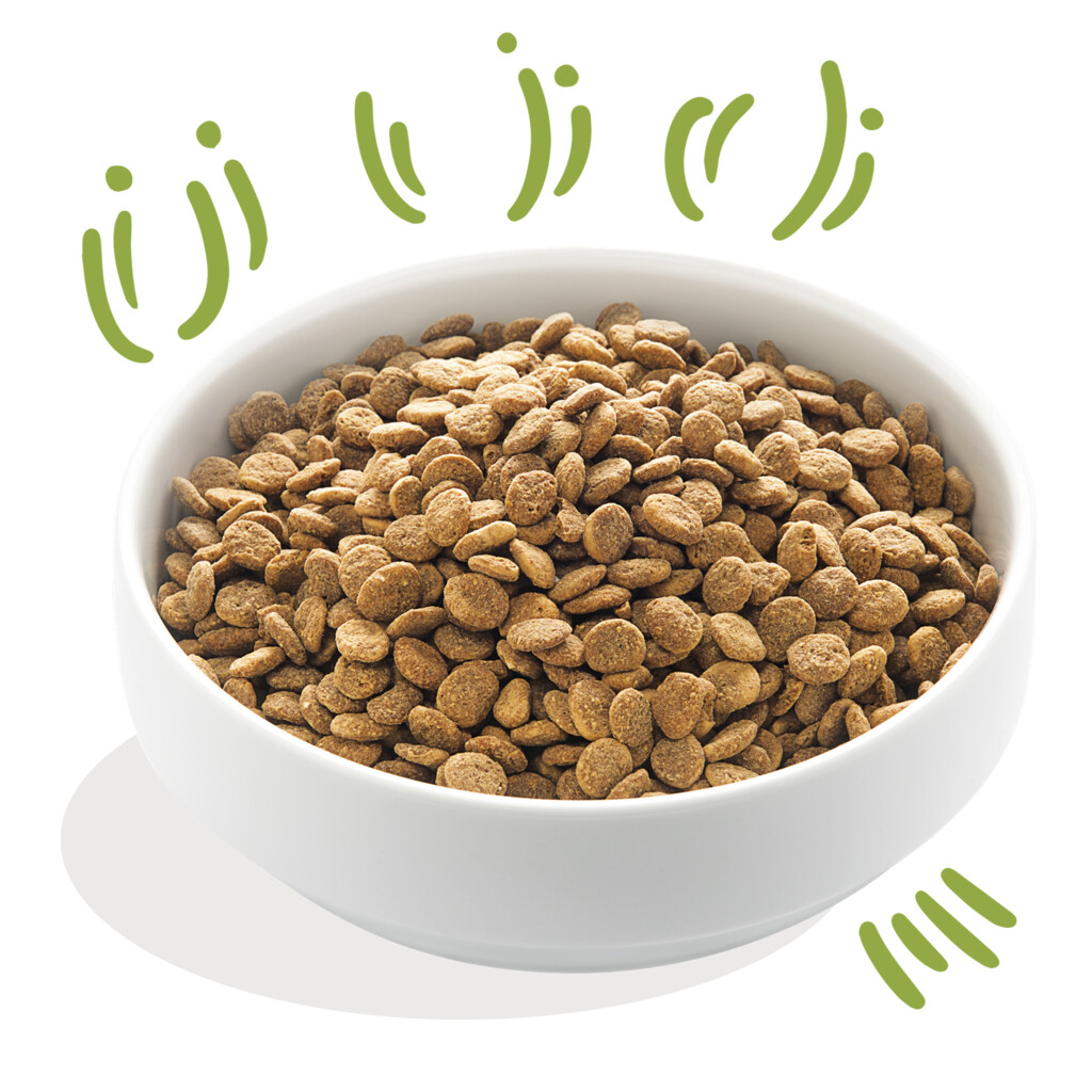 Vers gras-gevoerd lam 12kg - adult - large