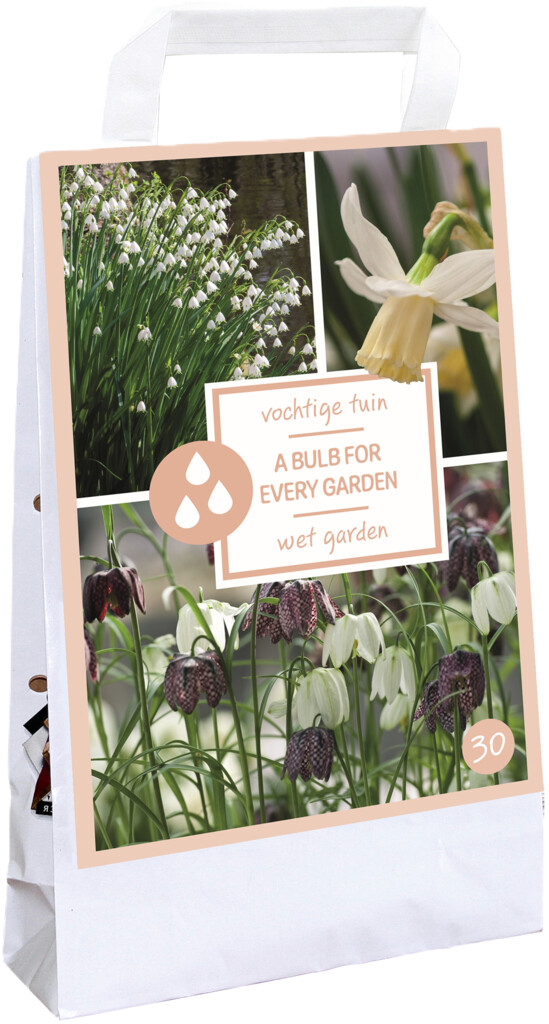 X1 Tas 30 Bulbs for every garden - Wet Garden I