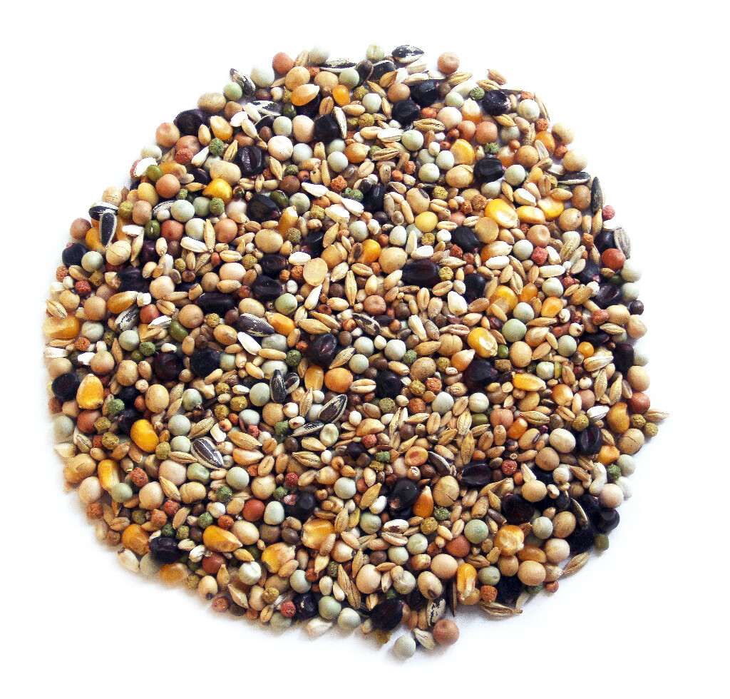 Black Label Mutine 20kg