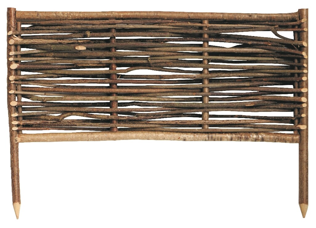 Fedra bordure noisetier