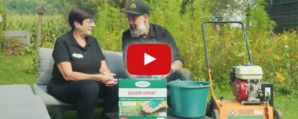 Comment on fait ça ? : Restaurer, fertiliser et entretenir votre gazon