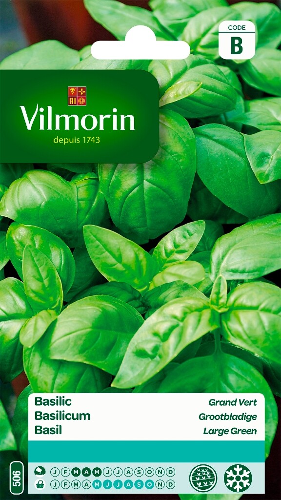 Basilicum Grootbladige