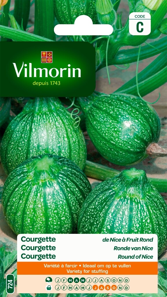Courgette ronde van Nice