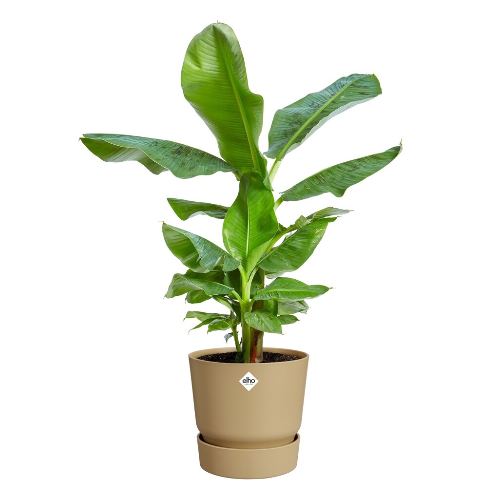 Greenville Rond 18cm goudkleurig zand