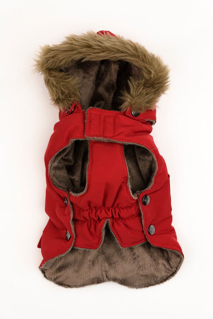 Manteau Chien Aspen Red 44cm