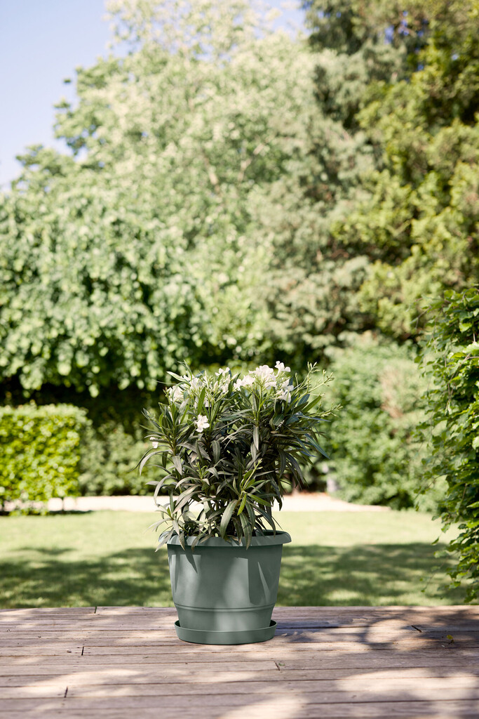 Loft Urban Soucoupe Ronde 17cm vert thym