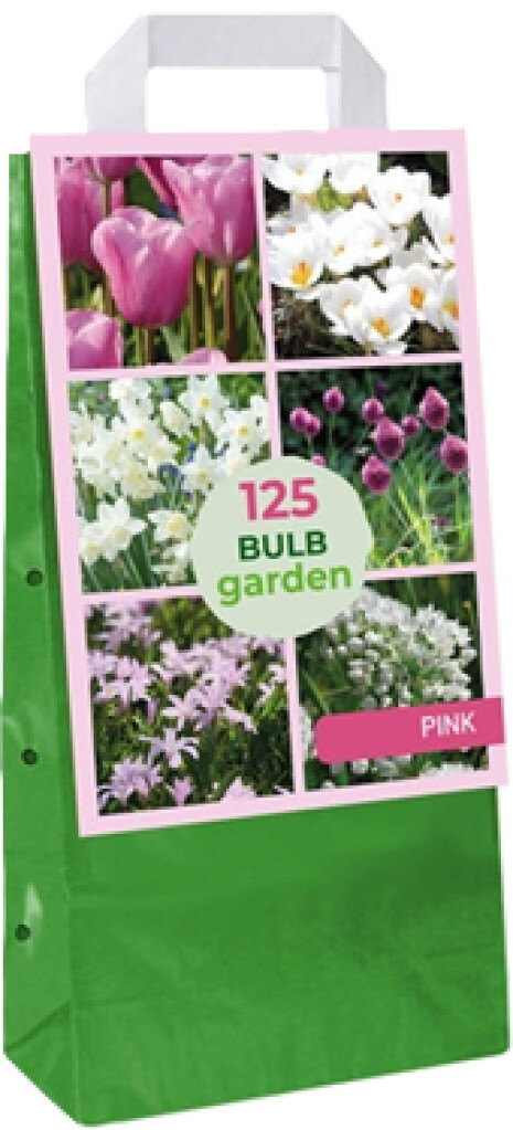 X1 tas 125 bulb Garden Pink