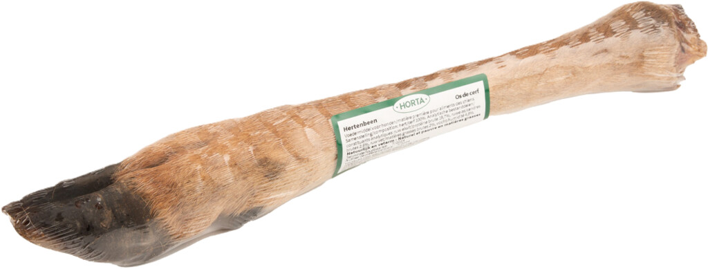 Hertenbeen