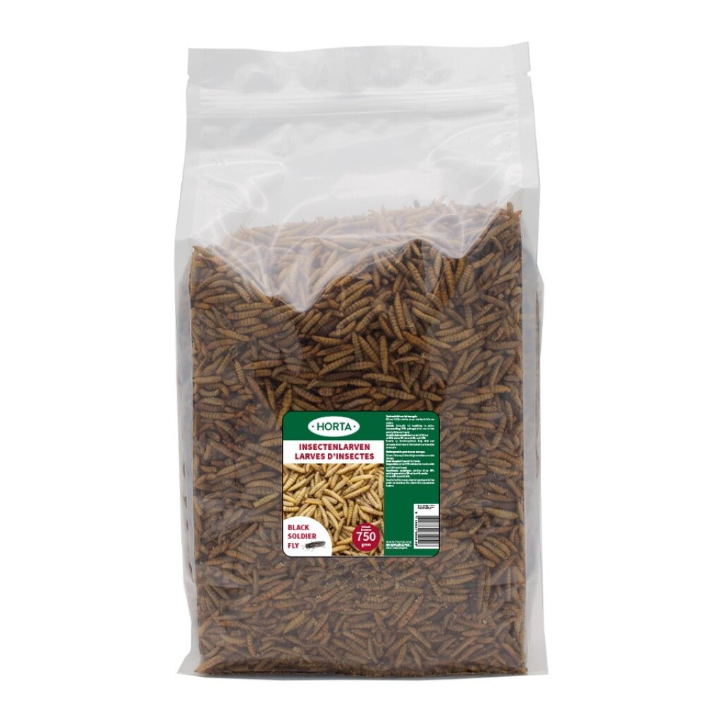 Larves d'insectes 750g