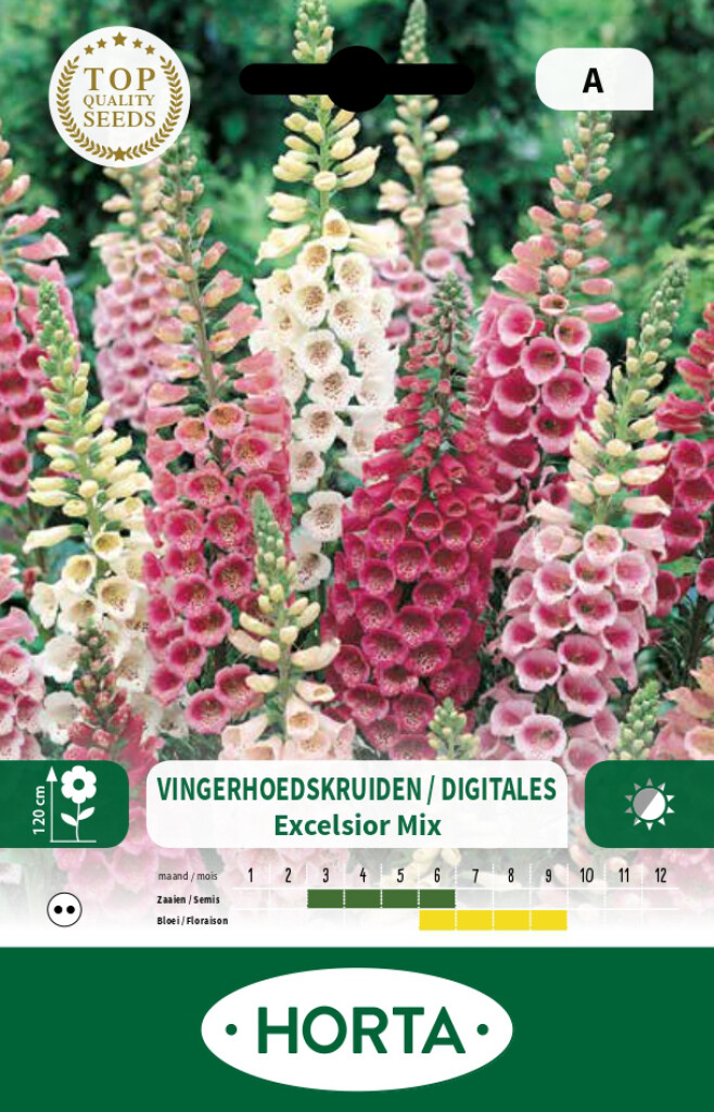 Digitalis Purpurea Excelsior gemengd