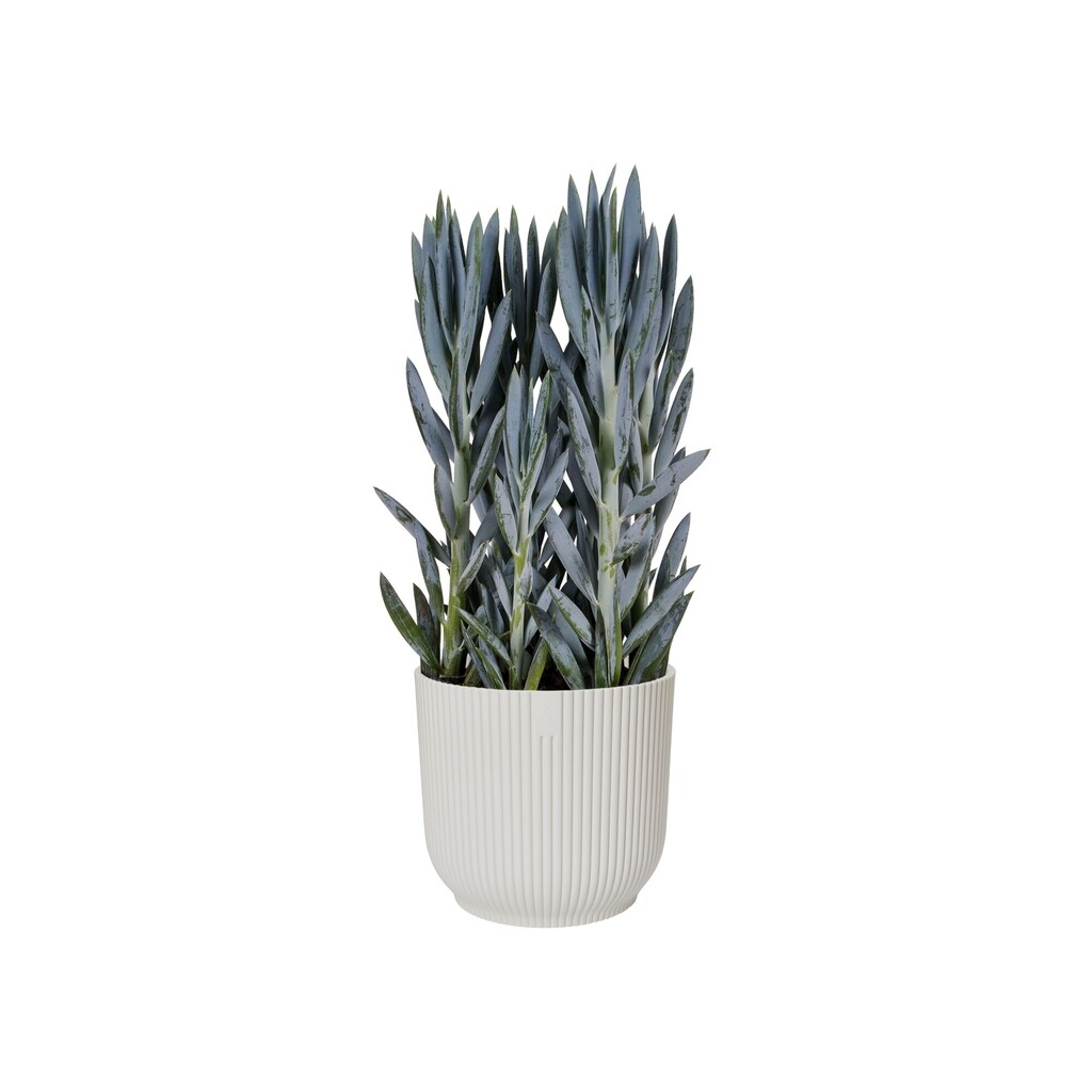 Pot de fleurs Vibes Fold Rond 25cm blanc soie