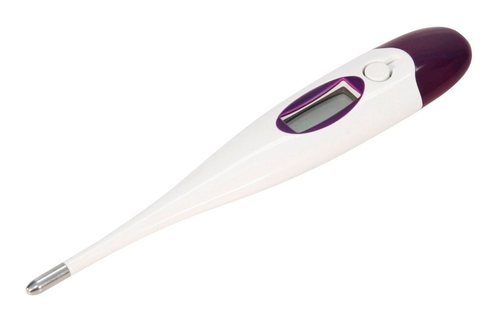 Thermomètre numérique avec sonde flexible Thermomètre numérique avec sonde flexible