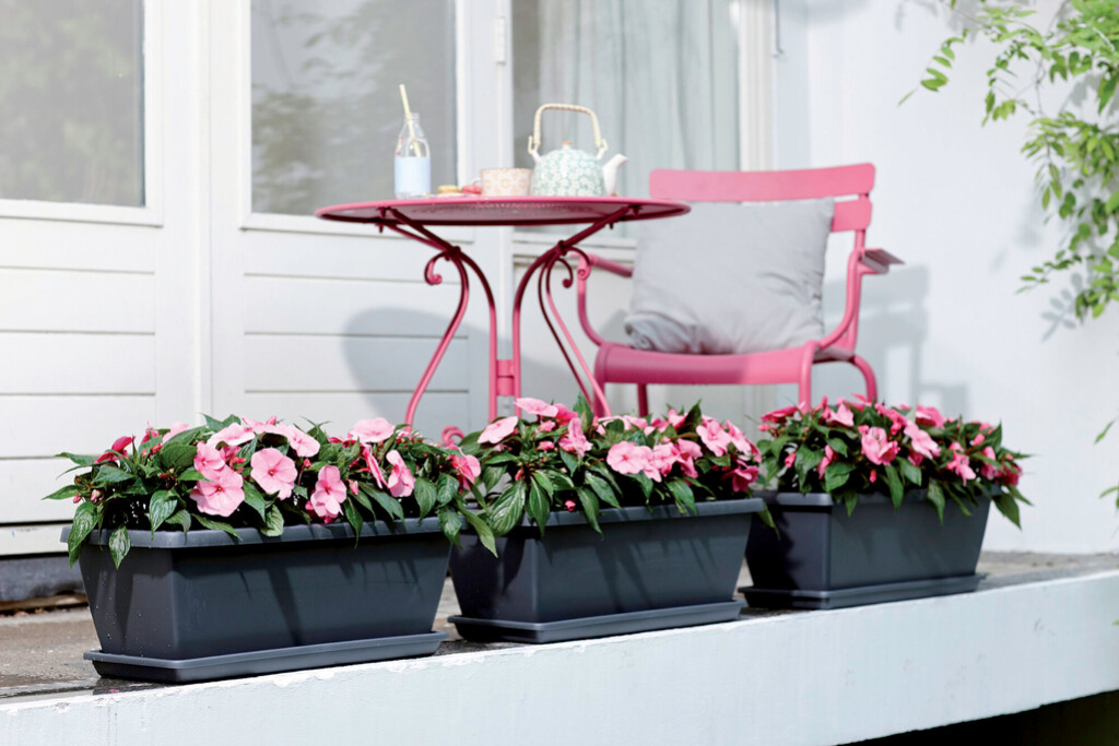 Barcelona XL Schotel 60cm antraciet Barcelona XL Schotel 60cm antraciet