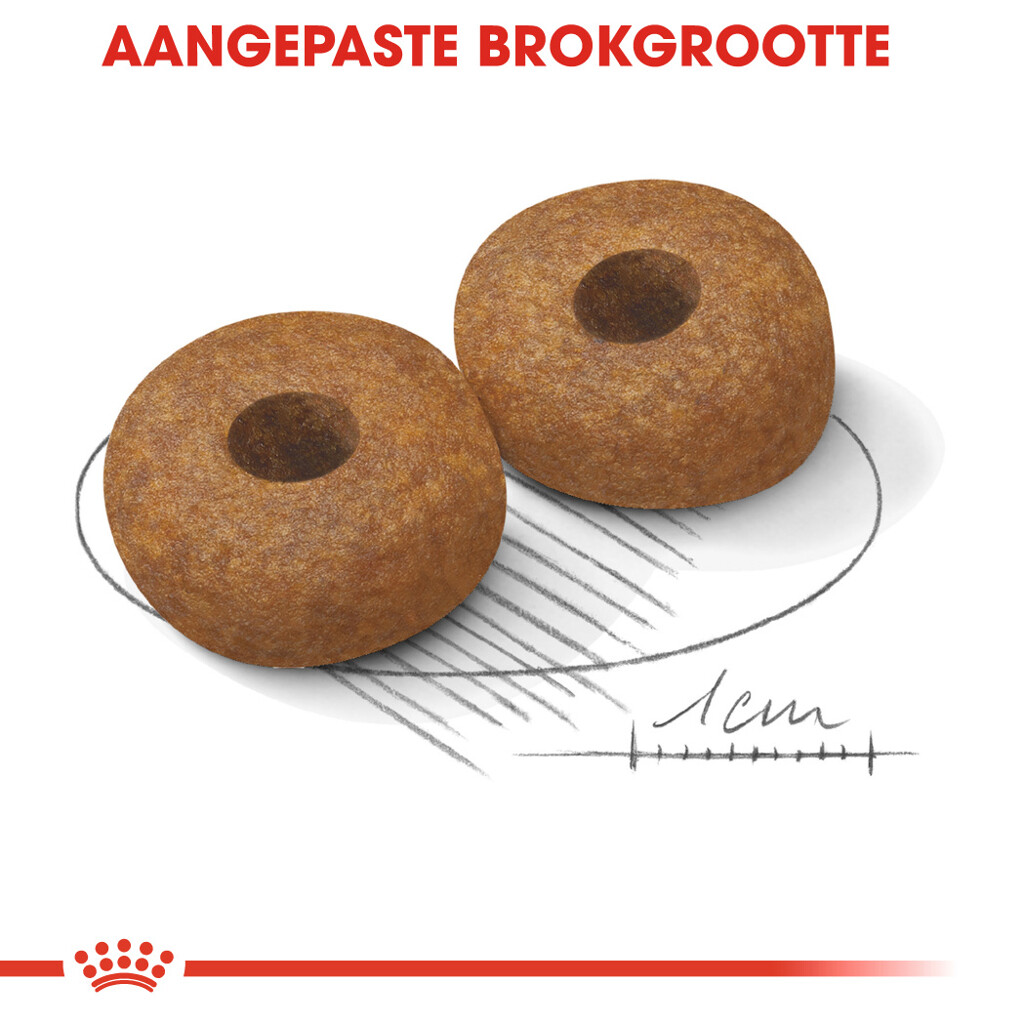 SHN Medium Ageing 10+ 15kg