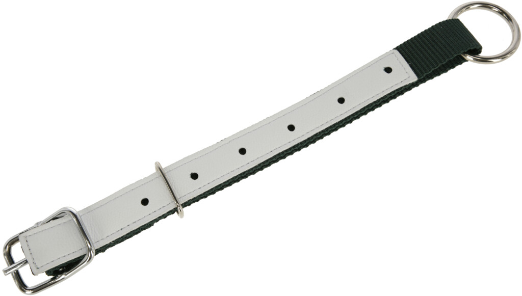 Collier nylon pour mouton chêvre, vert