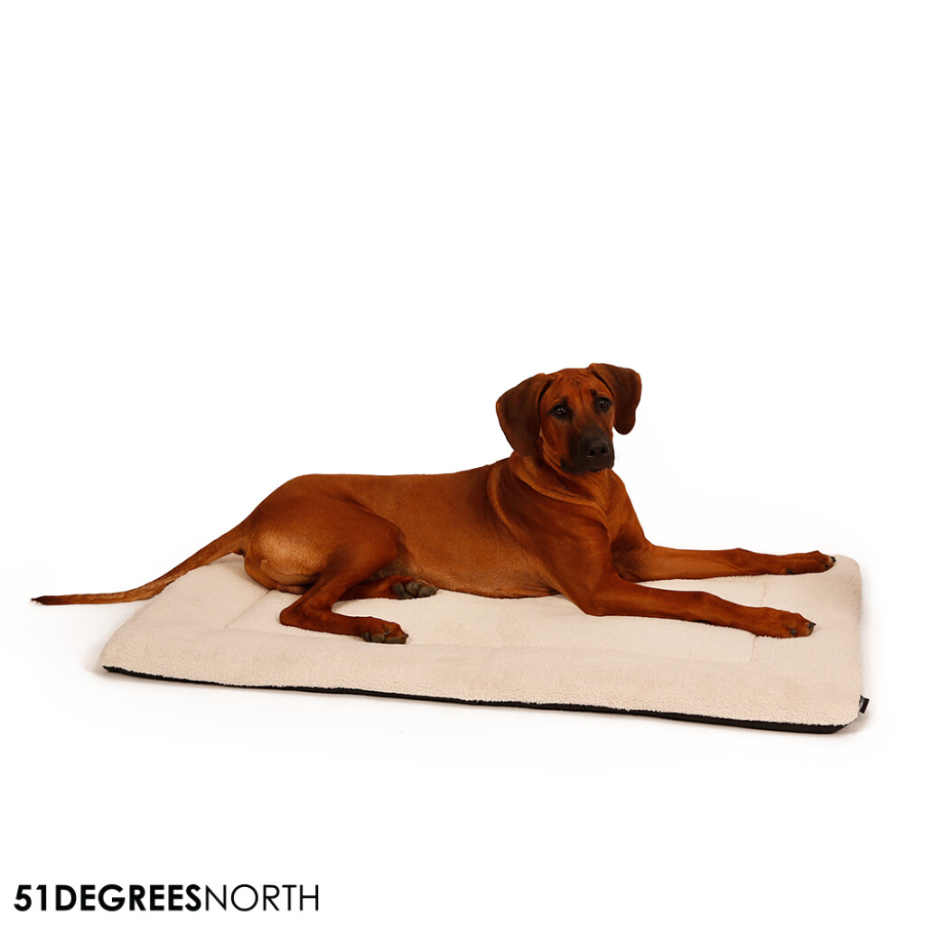 Sheep - Bench Cushion beige XL Sheep - Bench Cushion beige XL