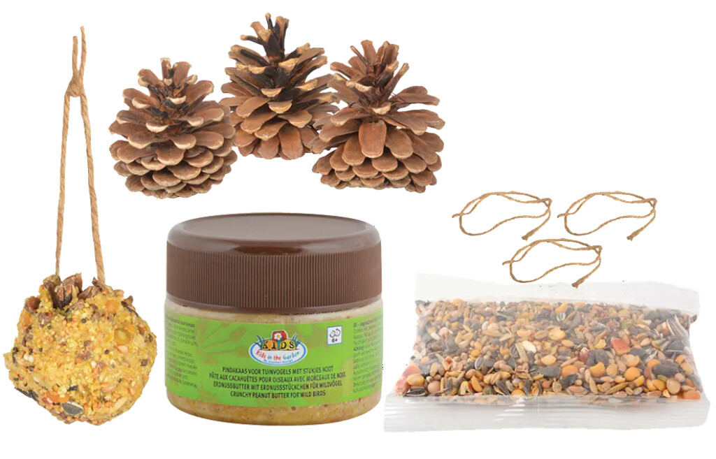 Doe-het-zelf vogelvoer dennenappels
