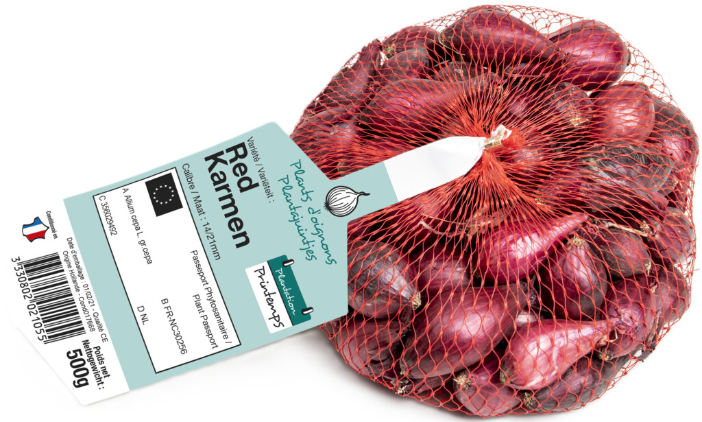Oignon Red Karmen 14/21 500g