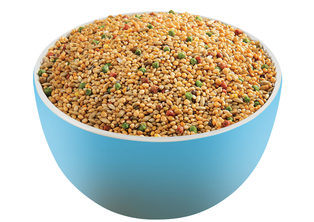 Tropische Vogels 800g