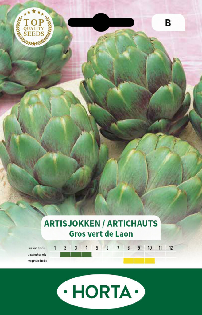 Artisjok gros vert de Laon
