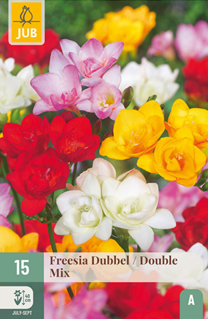 X15 Freesia dubbel mix
