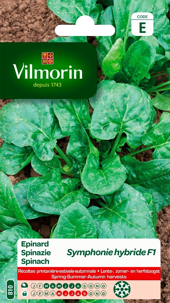 Spinazie Symphonie HF1 Spinazie Symphonie HF1