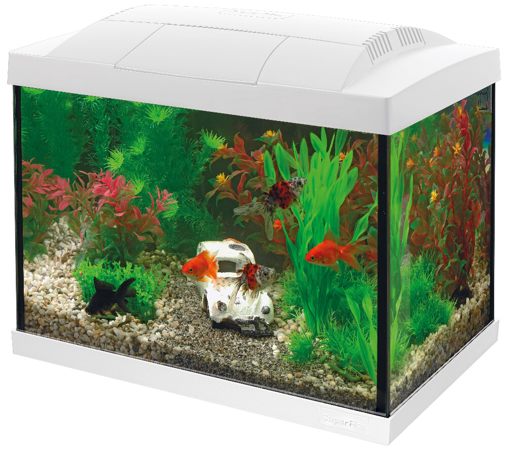 Kit Start Aquarium 20 poissons rouge, blanc