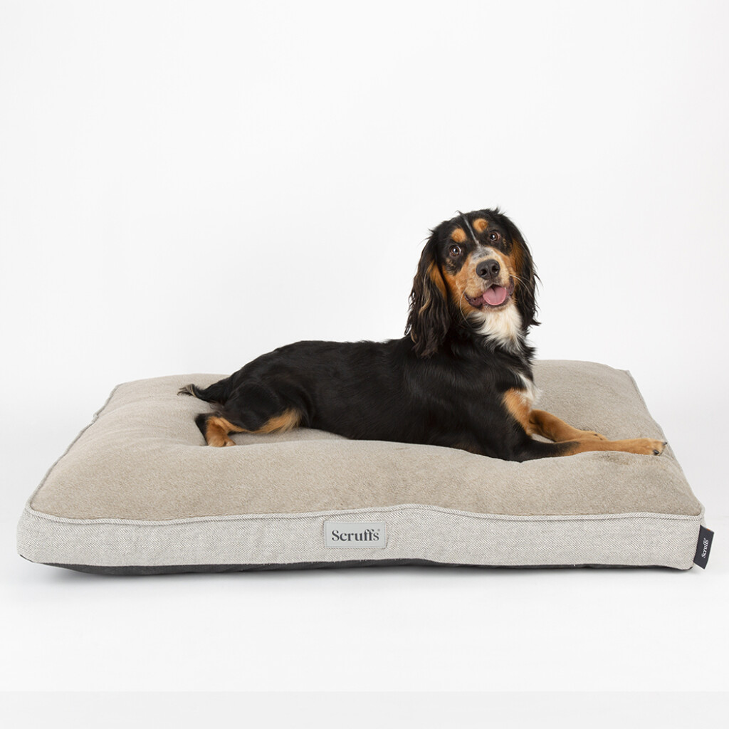 Harvard Memory Foam Coussin Orthopédique Gris Perle L
