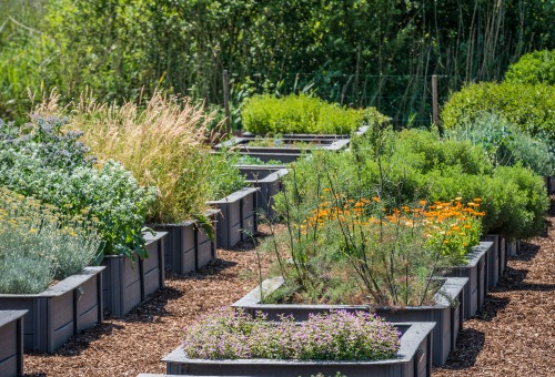 Le système Ecoplanc®Connect pour le potager Le système Ecoplanc®Connect pour le potager
