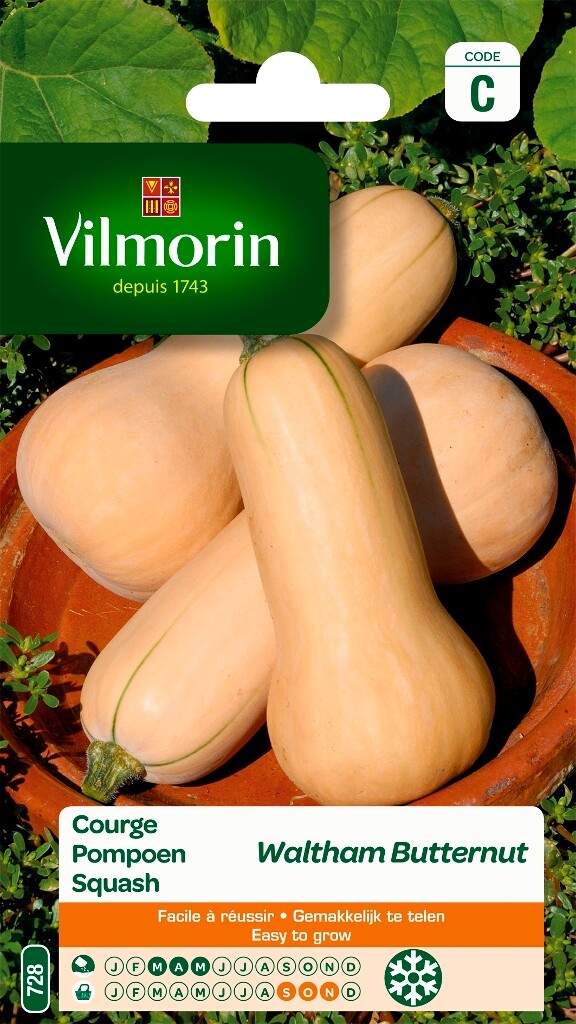 Potiron Waltham Butternut Potiron Waltham Butternut