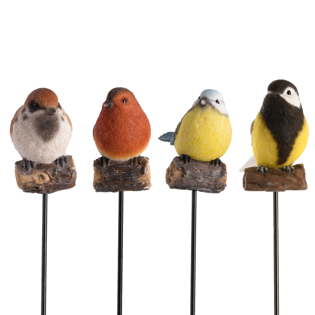 Oiseaux de jardin à piquer