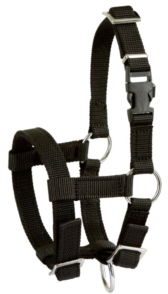 Alpaca-halster verstelbaar, zwart, 20mm PP Alpaca-halster verstelbaar, zwart, 20mm PP
