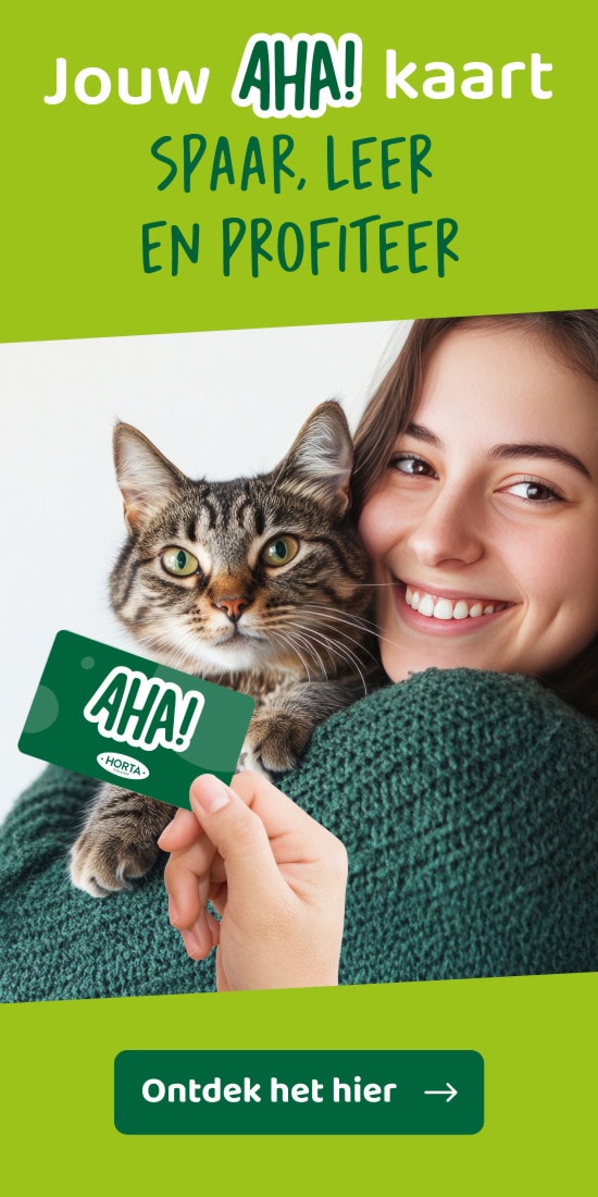 Jouw AHA! kaart Spaar, leer en profiteer