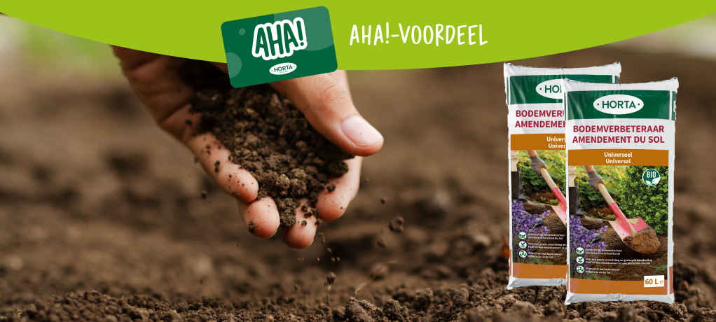 Aveve tuinschoenen best sale