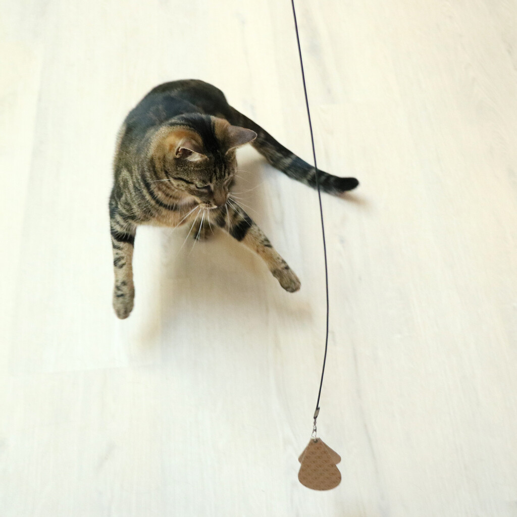 CONNOR - Canne à pêche télescopique -3 proies