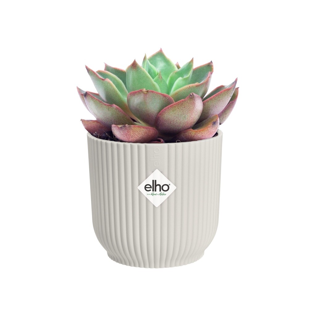 Vibes Fold Rond Mini 11cm blanc soie Vibes Fold Rond Mini 11cm blanc soie