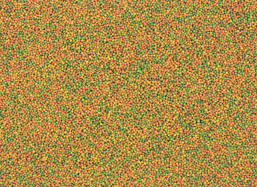 NutriBird B14 800 g NutriBird B14 800 g