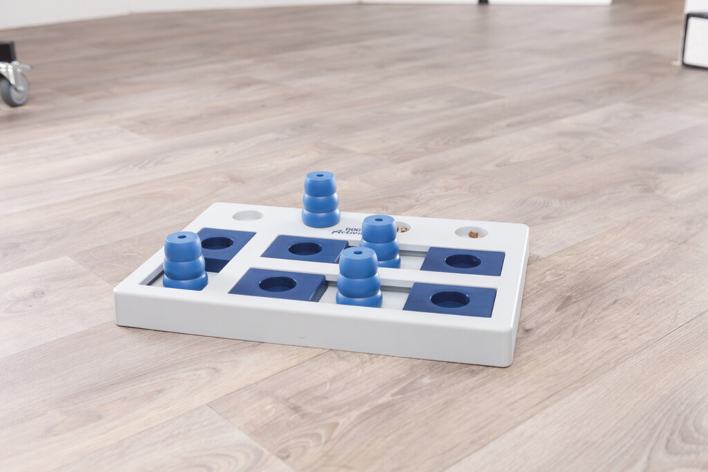 Dog Activity Jeu Stratégie Chess