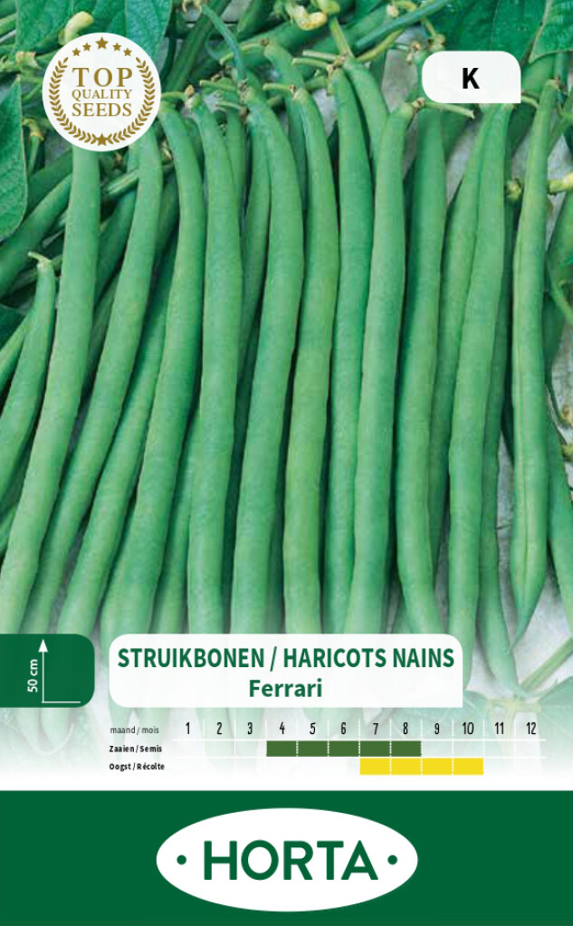Haricot nain mangetout fin Ferrari