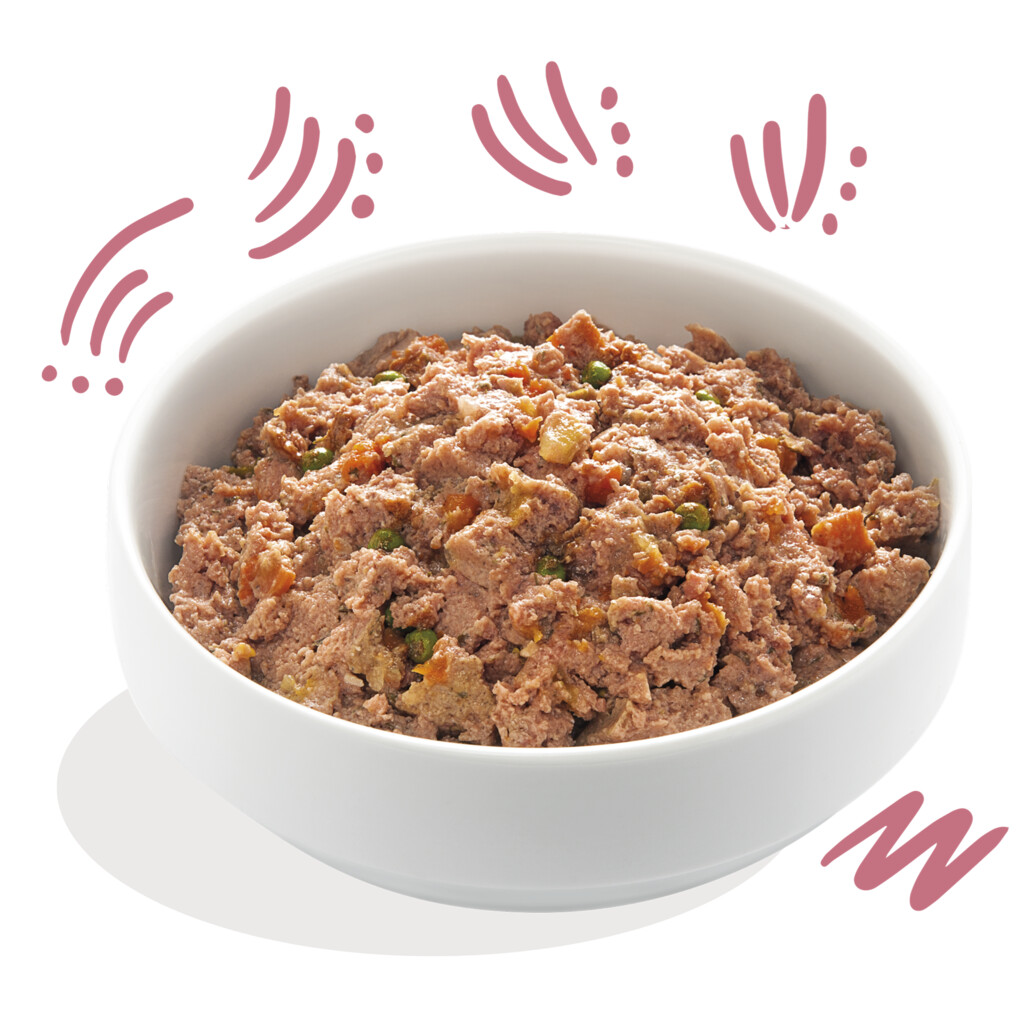 Canard & poulet 300g - chiot - barquette