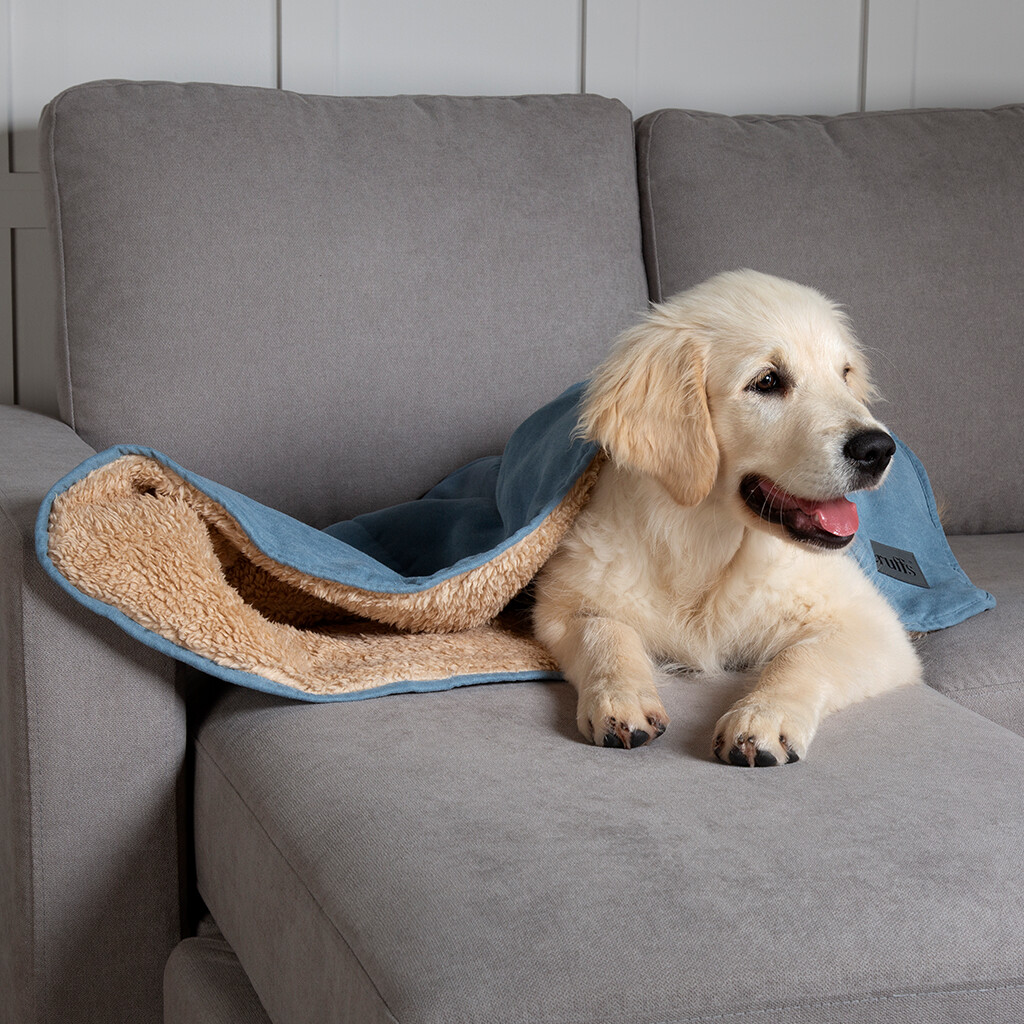 Couverture Cosy Chien Bleu Lagon