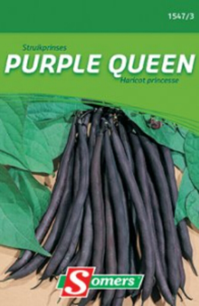 Struikprinses  Purple Queen 130g
