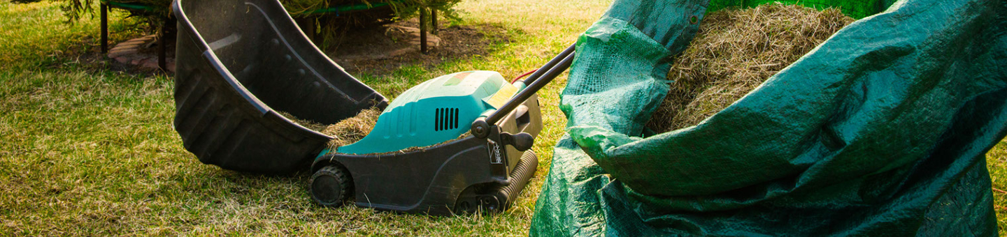 Scarifier Scarifier