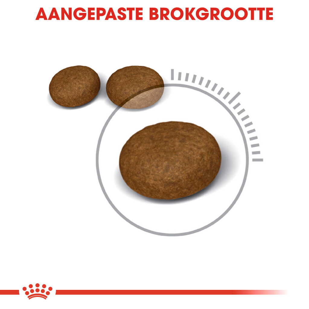 FCN Hair & Skin 4kg