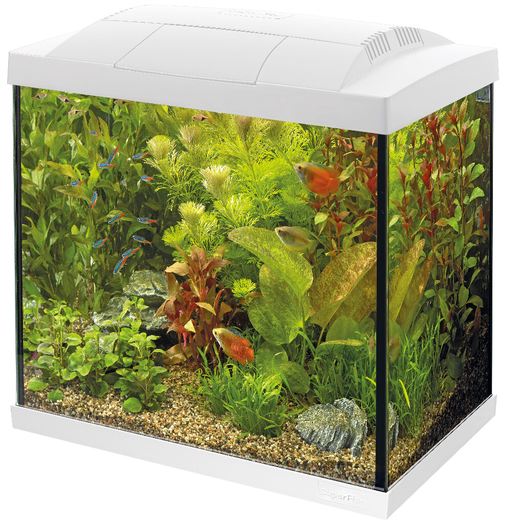 Start Aquarium 50 tropical kit, wit