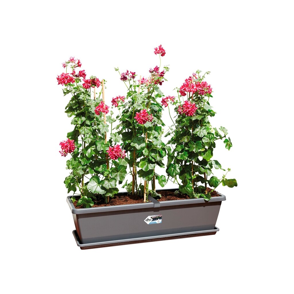 Barcelona XL Schotel 60cm antraciet Barcelona XL Schotel 60cm antraciet